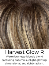 Donna 50% OFF TODAY ONLY!