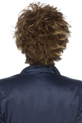 R8/26H Golden Brown w/Golden Blonde Highlights