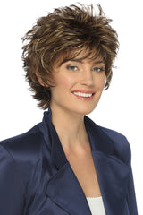 R8/26H Golden Brown w/Golden Blonde Highlights