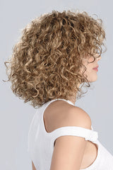 LIGHT BERNSTEIN ROOTED