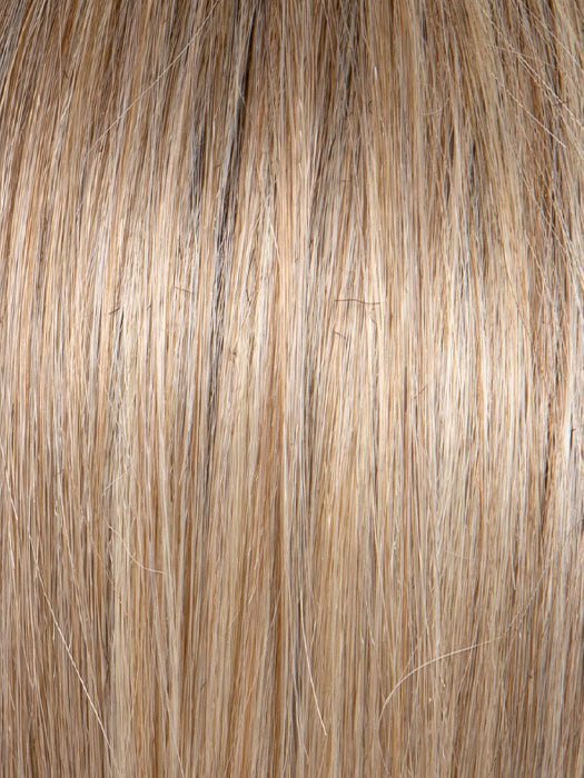 GF19-23SS biscuit