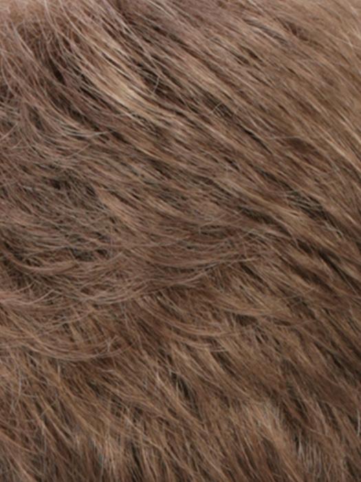 R12/26H Light Brown with Golden Blonde Highlights on Top